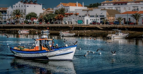 Living in Tavira