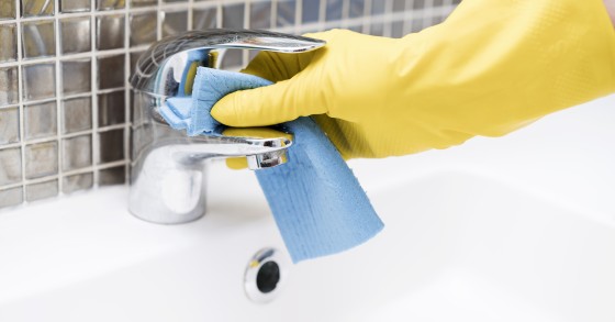 calcário conquifero 