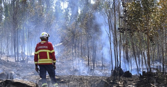 Incendies de forêt au Portugal