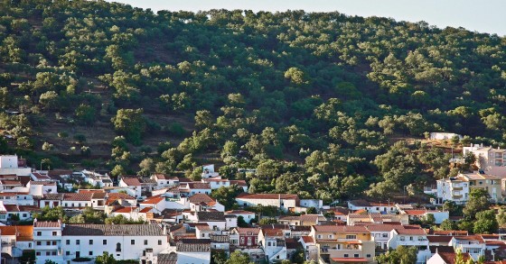 cheapest places to buy in the Algarve