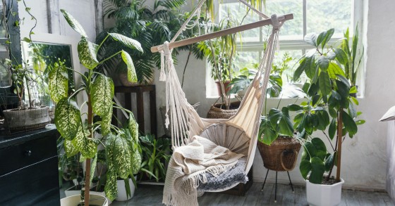 Jardim interior em casa