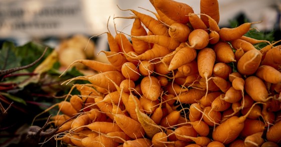 cenouras