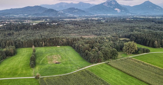 Terrenos