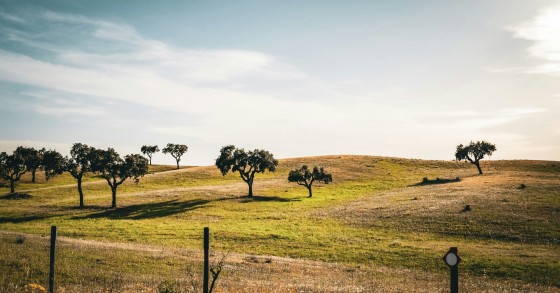 terrenos em Portugal
