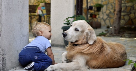 criança com pequeno cão