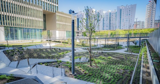 EXEO Office Campus
