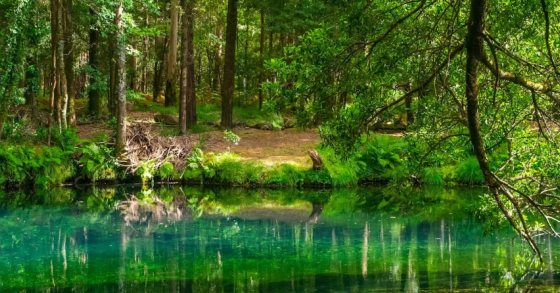 Lagoa da Esturranha