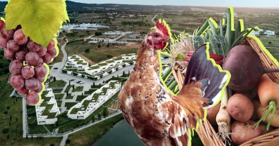 agrihoods
