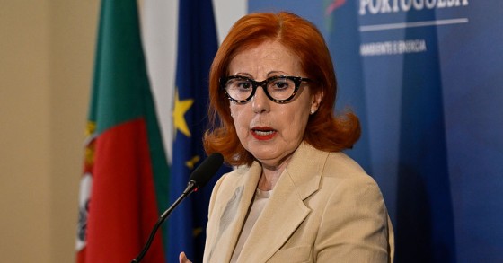 Maria da Graça Carvalho