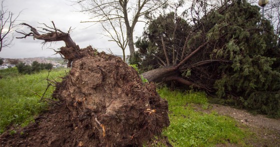 Tempestades em Portugal
