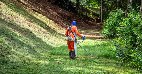 Limpeza de terrenos