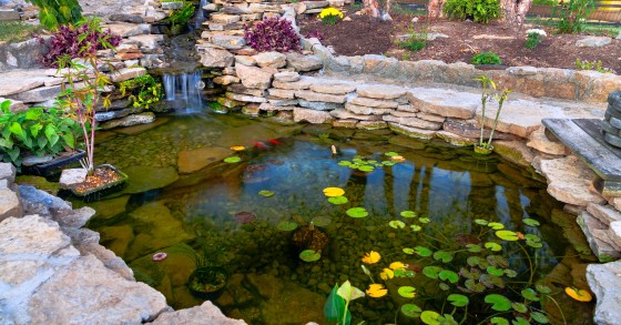 quanto custa fazer um lago no jardim