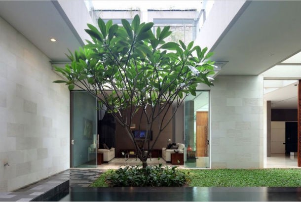 casa-jakarta11_0