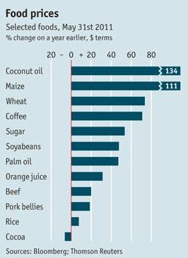 radiografia do dia: preço dos alimentos em maio