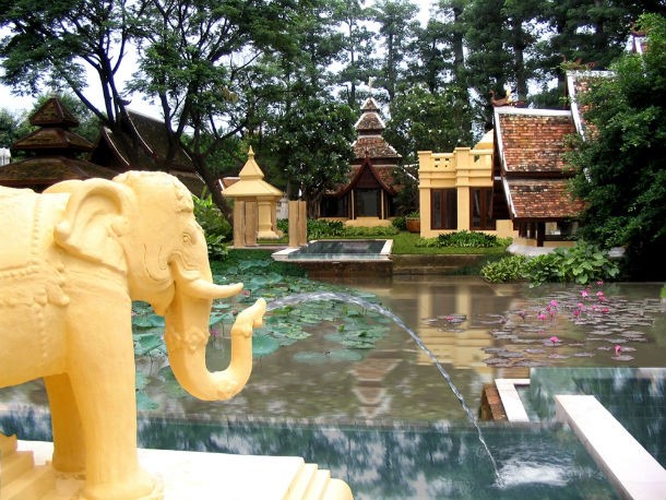 dhara_dhevi14_0