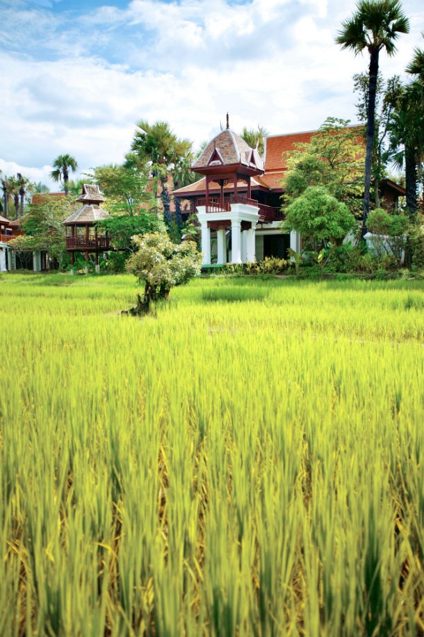 dhara_dhevi6_0