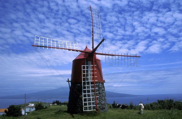 que tal passar três dias a visitar moinhos? (fotos)