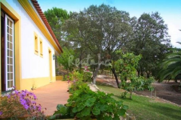 uma escapadela num verdadeiro refúgio de natureza em tomar com direito a piscina casa de fim-de-semana: colher fruta e legumes numa quinta com piscina mergulhada na natureza (fotos)