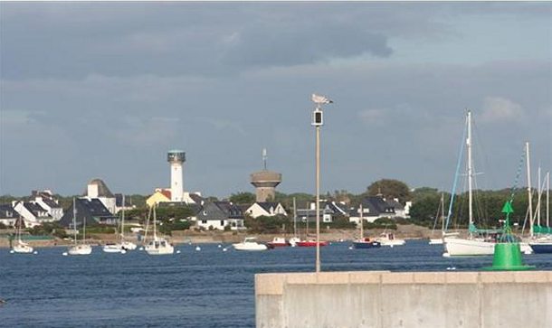 faro7