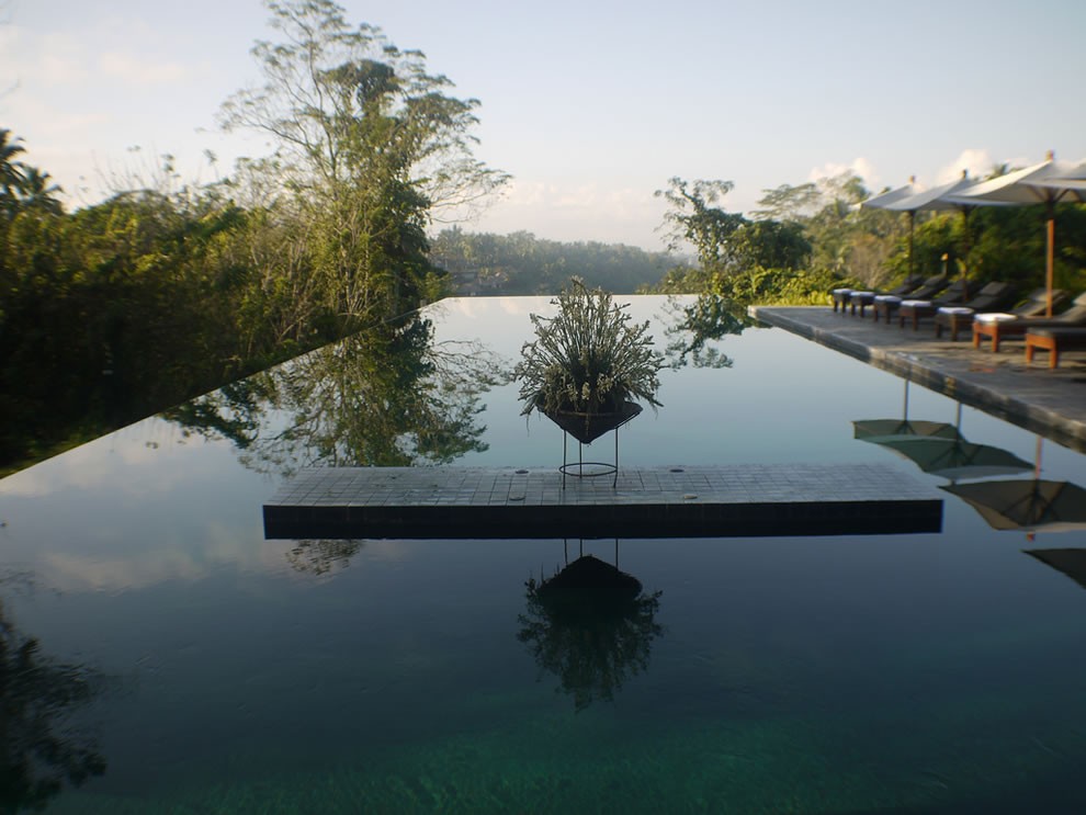infinity-pool-honeymoon-Alila-Ubud-Bali