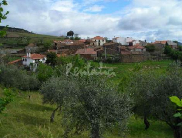 a casa está localizada na pacata aldeia de vilar do rei 11_1