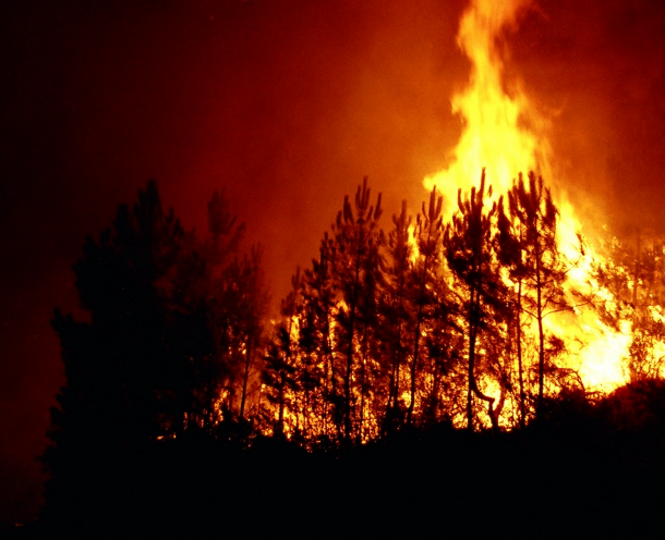 esta terça-feira de manhã estavam dezasseis incêndios florestais activos em portugal espanha e frança ajudam portugal no combate aos incêndios