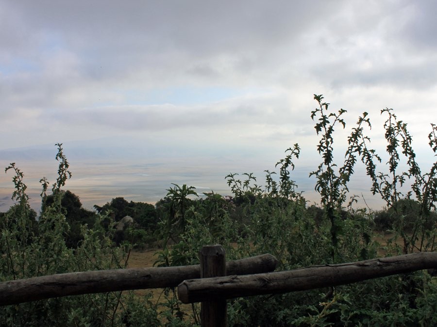 lets-take-a-closer-look-at-that-view-even-on-a-foggy-morning-it-was-striking