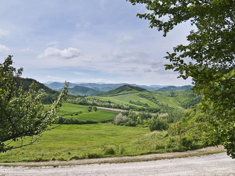 the-estate-has-rolling-green-hills-that-reach-up-to-the-apennines