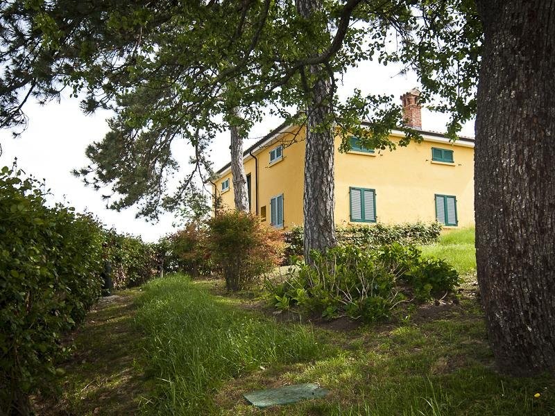 there-are-a-few-wooded-areas-on-the-property