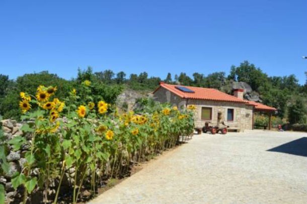 o projecto carya tallaya, composto por várias casas, está localizado em vale das égua 14_0