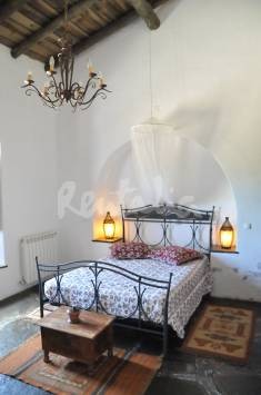 img1647977_g