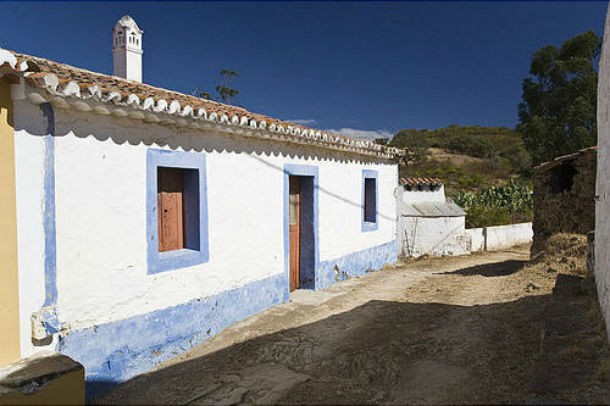 jovens portugueses apostam na agricultura. estrangeiros investem em casas de charme casas rurais: quem está a investir na vida no campo