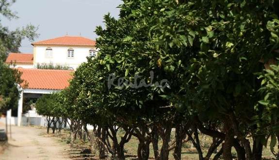 quinta14