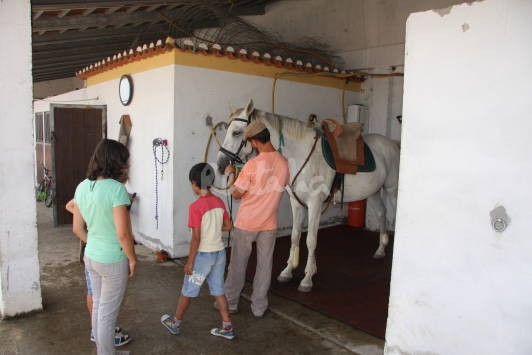 quinta17