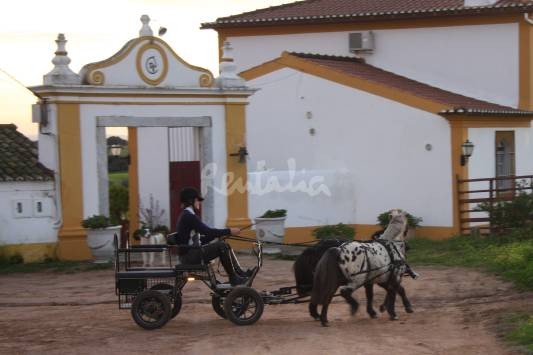 quinta18