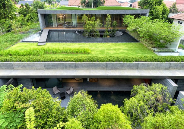 green-house-in-the-heart-of-the-city-wall-house-by-farm-singapore-8