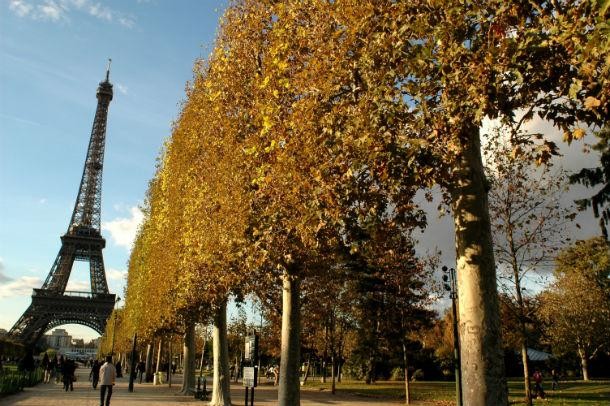Colecionador português paga 220 mil euros por escadaria da Torre Eiffel
