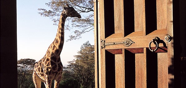 giraffe-manor-surrounding2