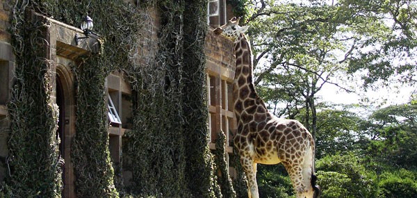 giraffe-manor-surrounding3