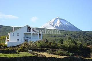 As melhores casas para comemorar o Dia dos Namorados (fotos)