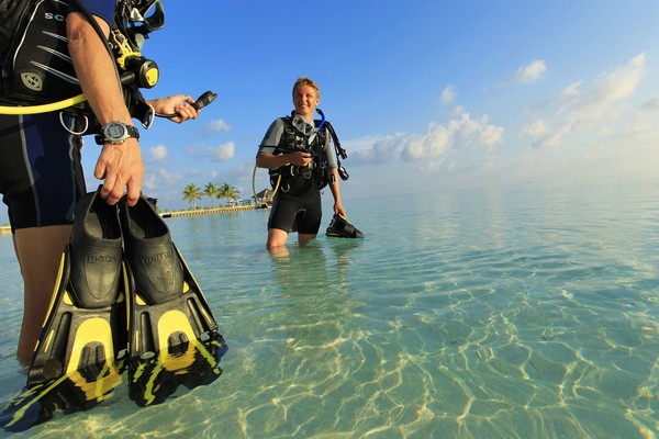 large_gallery_humleve_38738505_diving_600x400