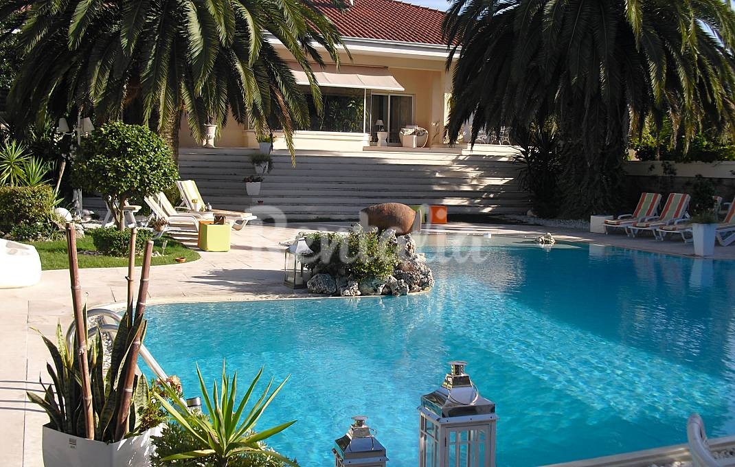 Casas de fim de semana: Quinta com pomar e piscina no Porto (fotos)