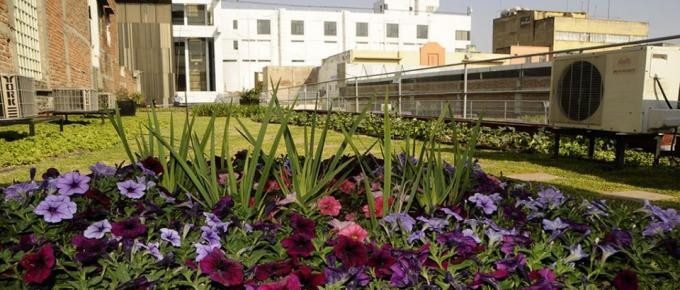 Em Copenhaga já são obrigatórios os terraços verdes