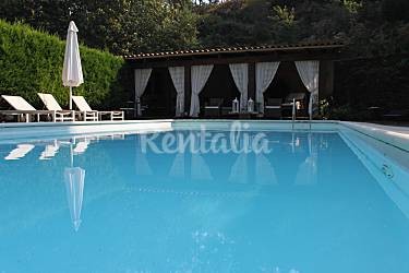 h.2920488.375.250.0.ffffff.wm_.2b1291af