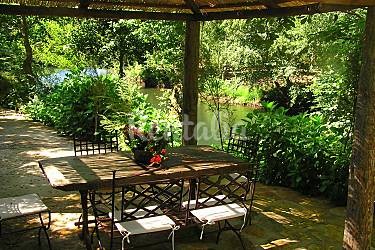 h.2920492.375.250.0.ffffff.wm_.4cec68ab