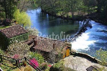 h.2921040.375.250.0.ffffff.wm_.f2b042ef