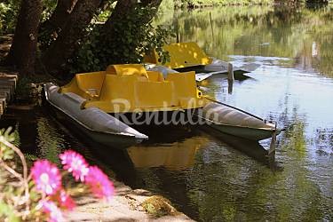 h.2921105.375.250.0.ffffff.wm_.f8254004