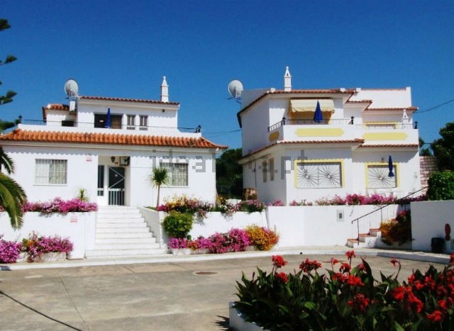 As casas da semana (de 1 a 5 de dezembro de 2014)