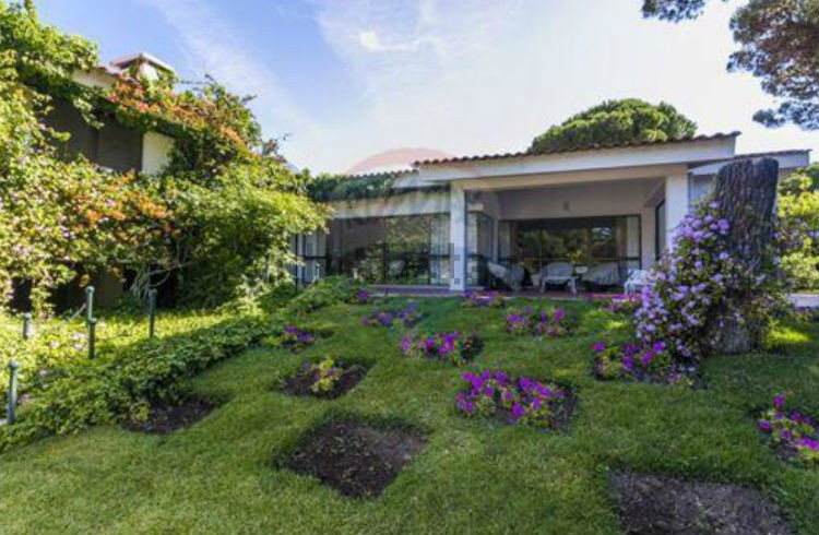 As casas da semana (de 22 a 26 de dezembro de 2014)