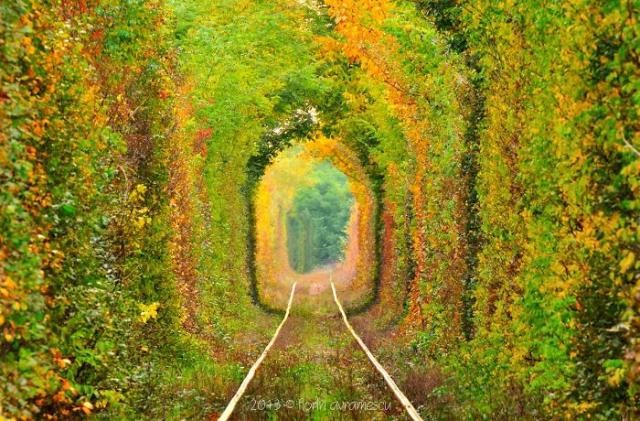 As 15 ruas mais mágicas do mundo à sombra de flores e árvores (fotos)